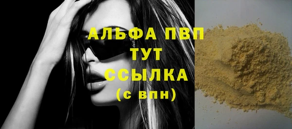 прущие грибы Магас