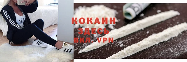 индика Магадан