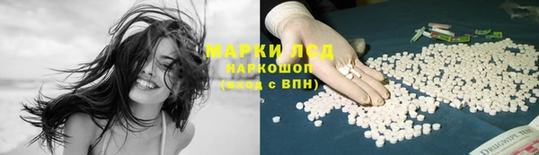 прущие грибы Магас