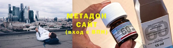 прущие грибы Магас