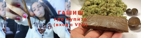 прущие грибы Магас
