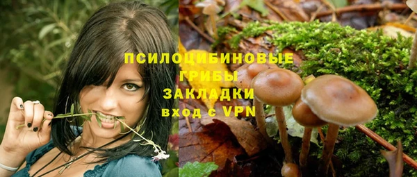 меф Кострома