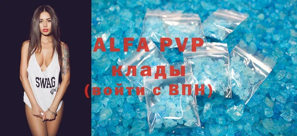 прущие грибы Магас