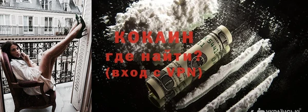 прущие грибы Магас