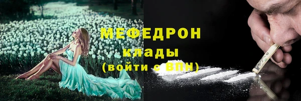 прущие грибы Магас